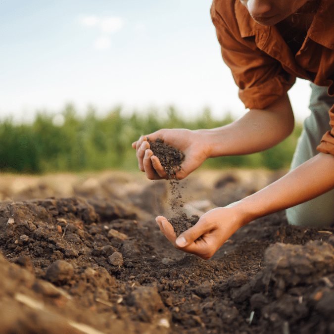Unraveling the Secrets of Soil Your Ultimate Guide to Garden Success! NextGenGardening™