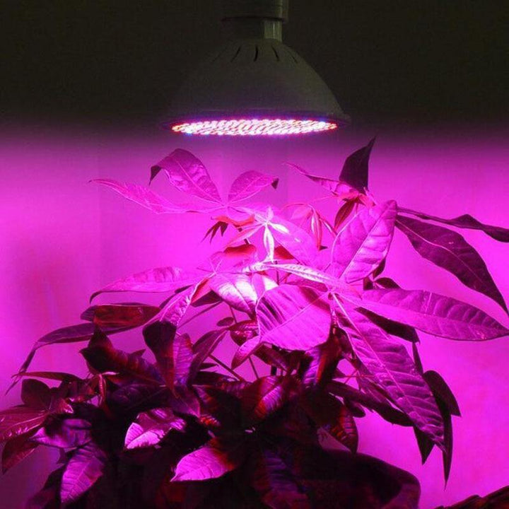 Full Spectrum LED Plant Grow Light - NextGenGardening™