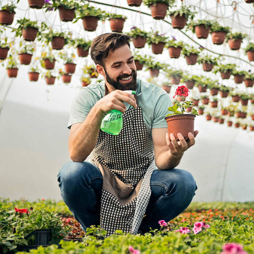 Using Epsom Salt to Make Your Flowers Bloom NextGenGardening™