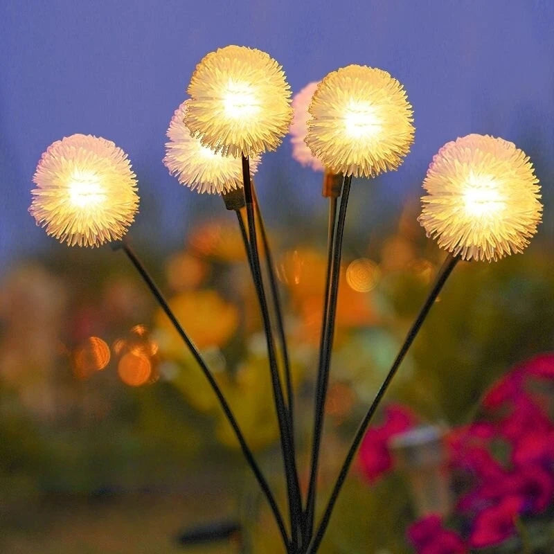 Solar Dandelion Garden Lights