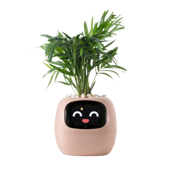 ivy plant pot size NextGen Ivy Smart Planter – NextGenGardening