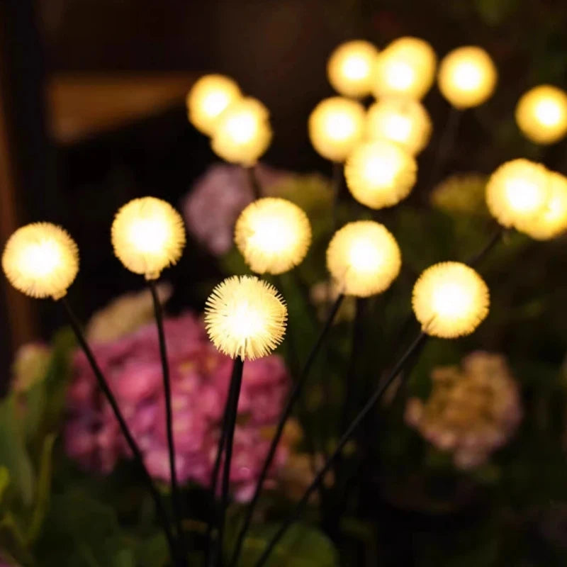 Solar Dandelion Garden Lights