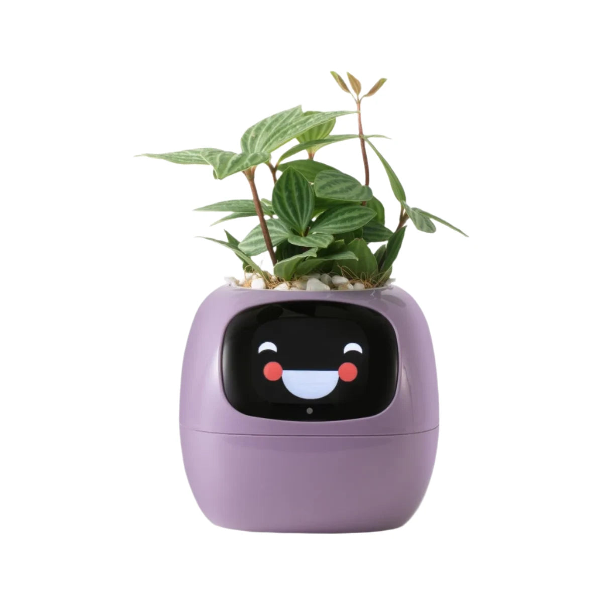 ivy smart planter NextGen Ivy Smart Planter – NextGenGardening