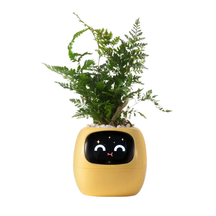 indoor smart planter NextGen Ivy Smart Planter – NextGenGardening