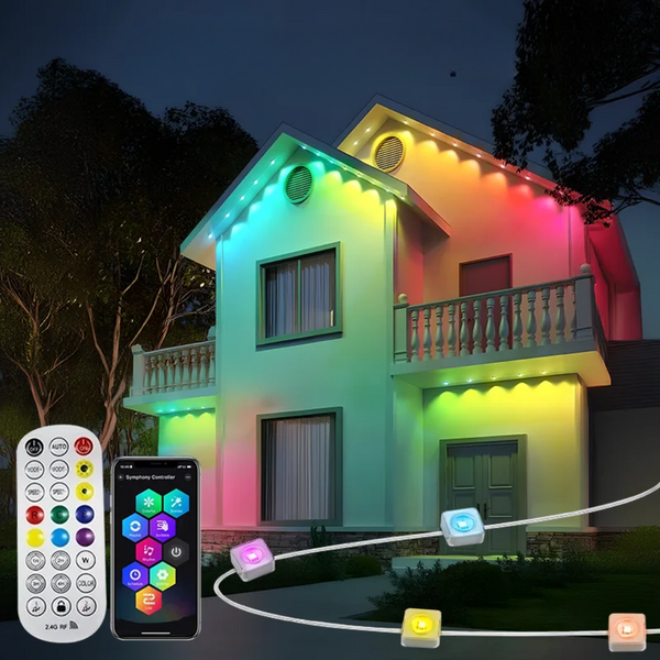 Outdoor Holiday LED Lights