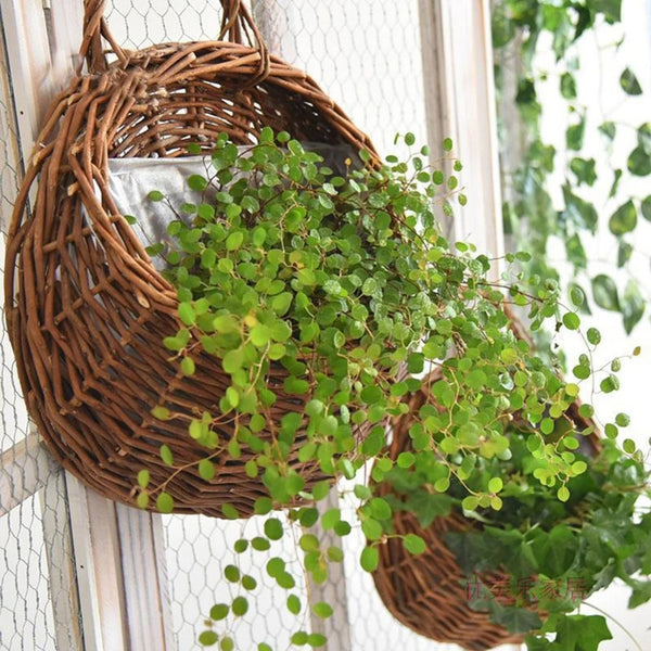 Handmade Rattan Hanging Wall Planter