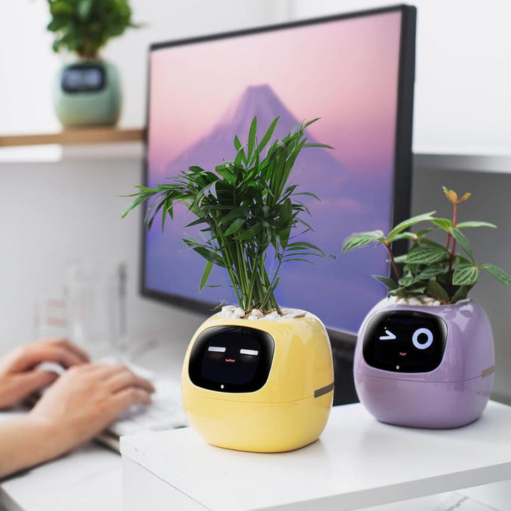smart pot planter NextGen Ivy Smart Planter – NextGenGardening