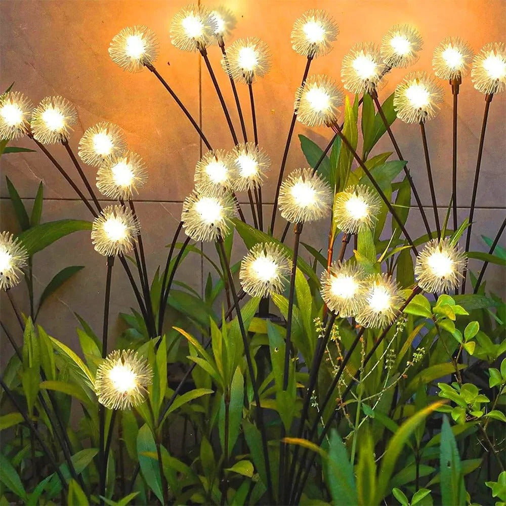 Solar Dandelion Garden Lights
