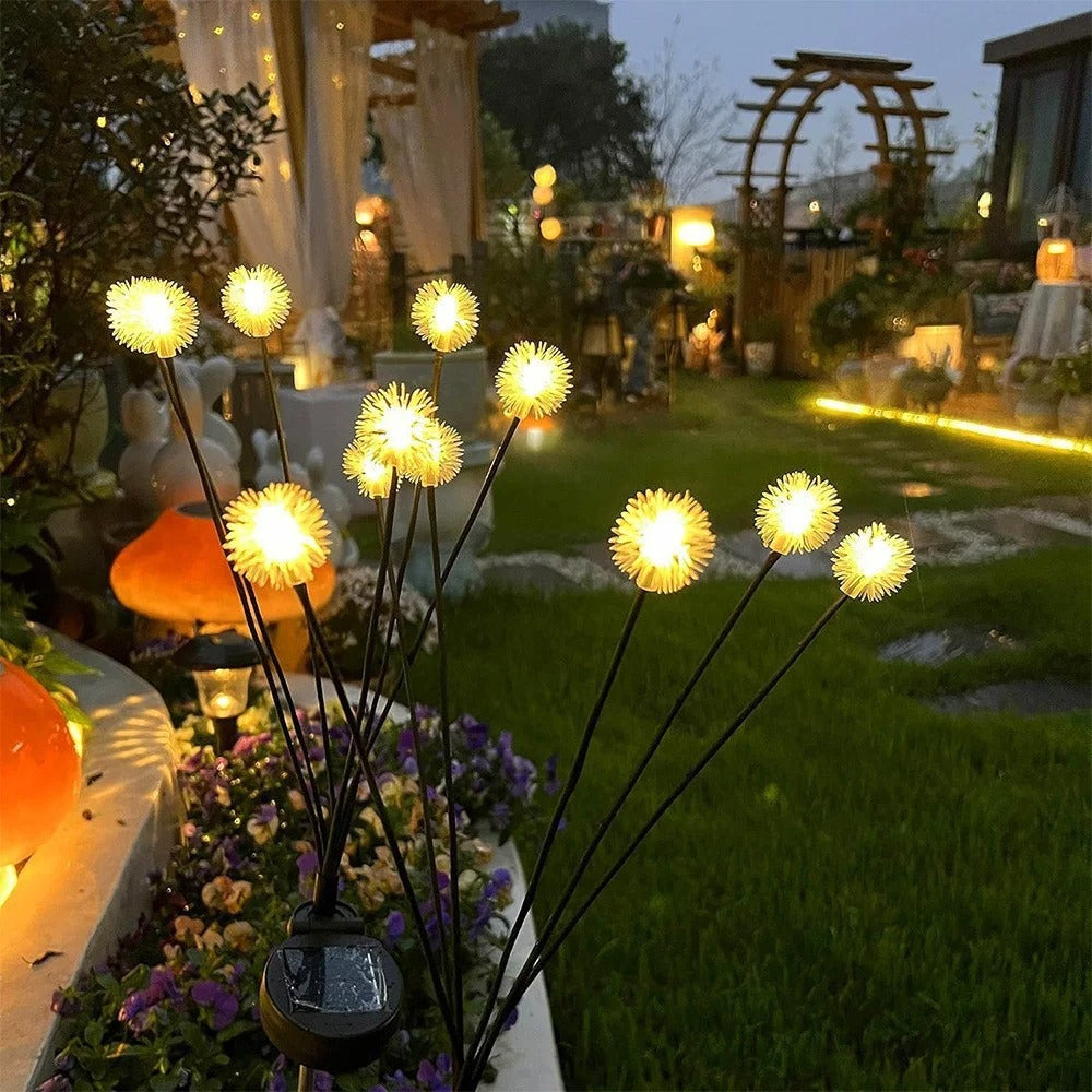 Solar Dandelion Garden Lights
