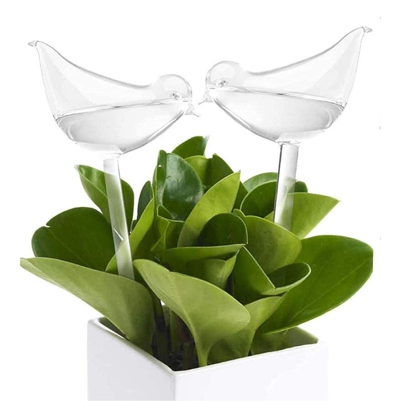 self watering glass plant bulbs PlantCare®
