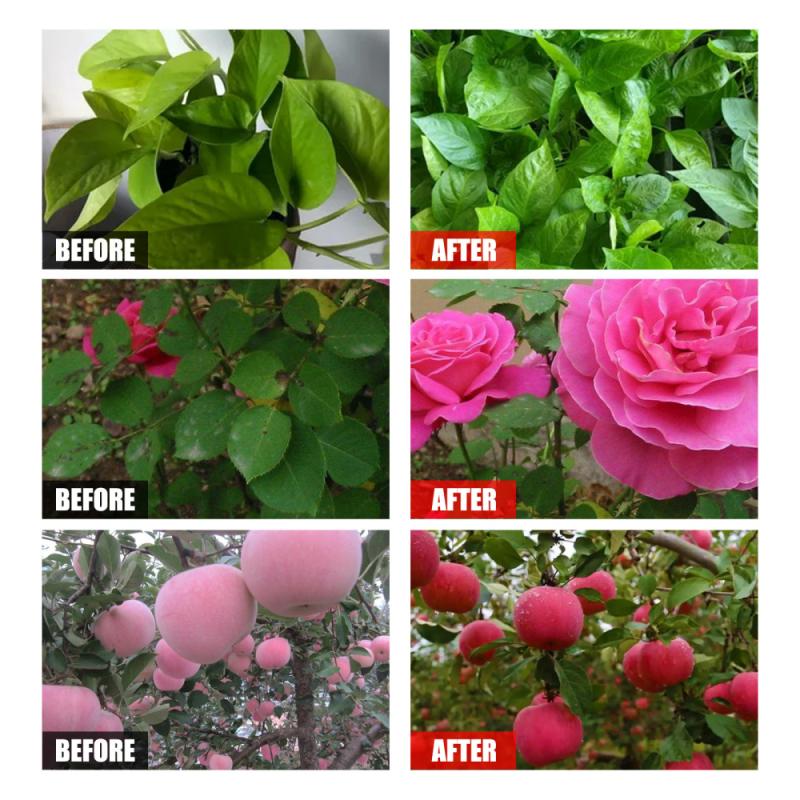 PlantBoost® | Plant Nutrient Solution