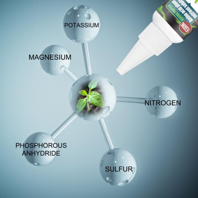 PlantBoost® | Plant Nutrient Solution