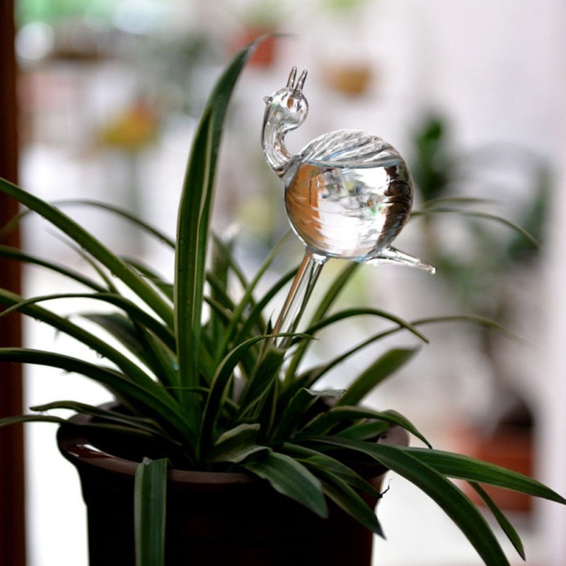 PlantCare® | Self-Watering Glass Bulb
