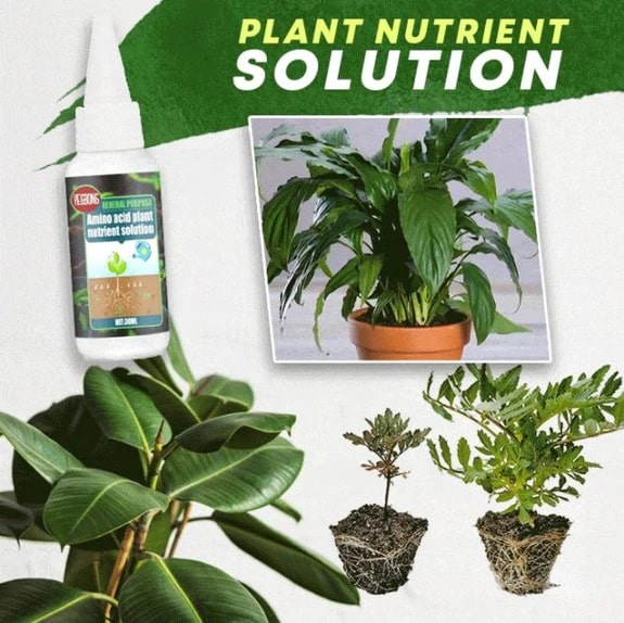 PlantBoost® | Plant Nutrient Solution