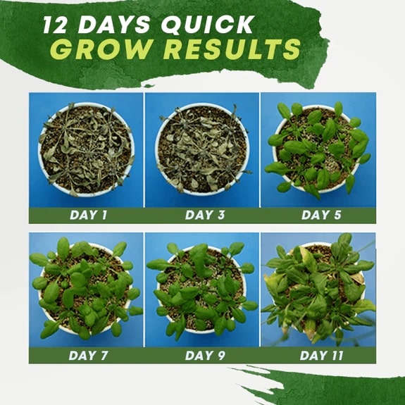 PlantBoost® | Plant Nutrient Solution