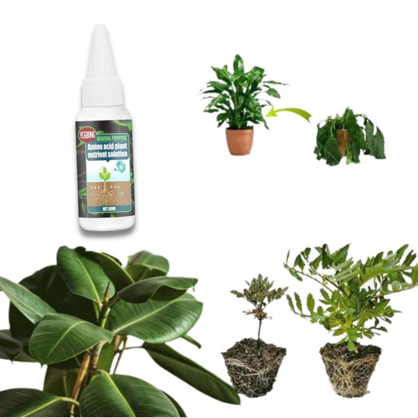 PlantBoost® | Plant Nutrient Solution