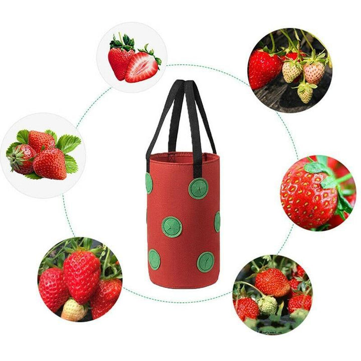 hanging strawberry planter bag Strawberry Vertical Grow Bags (3 Pack) – NextGenGardening