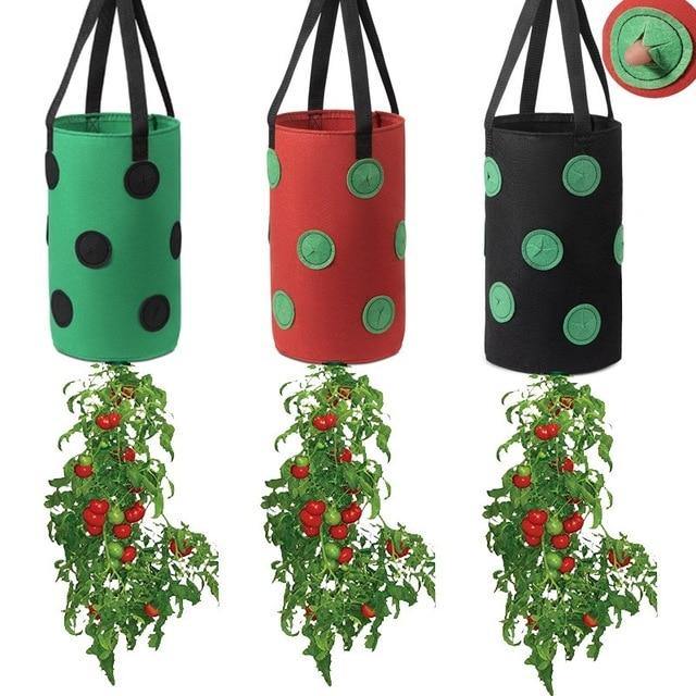 planting strawberries in hanging bags Strawberry Vertical Grow Bags (3 Pack) – NextGenGardening
