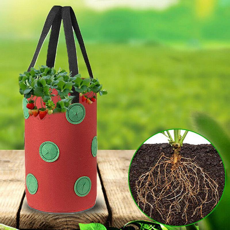 Strawberry Vertical Grow Bag Nonwoven - NextGenGardening™
