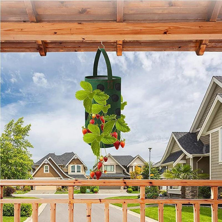 hanging strawberry planter bag Strawberry Vertical Grow Bags (3 Pack) – NextGenGardening